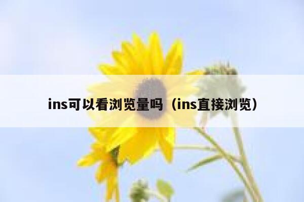 ins可以看浏览量吗（ins直接浏览） 第1张