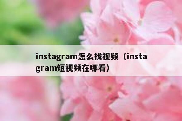instagram怎么找视频（instagram短视频在哪看） 第1张
