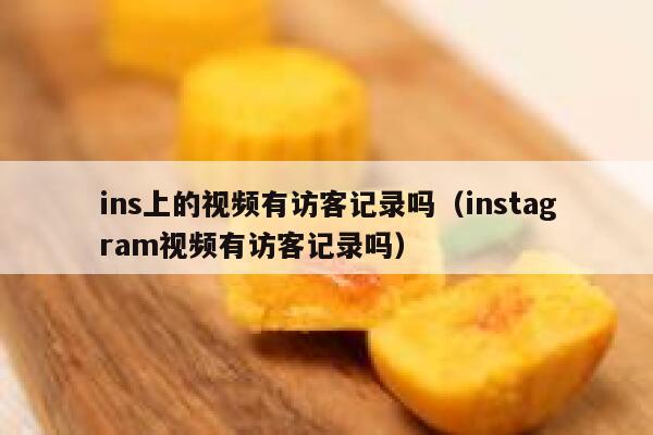 ins上的视频有访客记录吗（instagram视频有访客记录吗） 第1张
