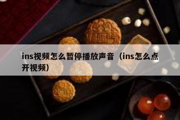 ins视频怎么暂停播放声音（ins怎么点开视频） 第1张