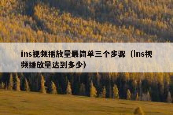 ins视频播放量最简单三个步骤(ins视频播放量达到多少) 第1张 ins视频播放量最简单三个步骤(ins视频播放量达到多少) 第1张
