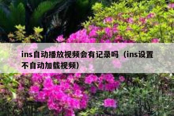 ins自动播放视频会有记录吗（ins设置不自动加载视频） 第1张