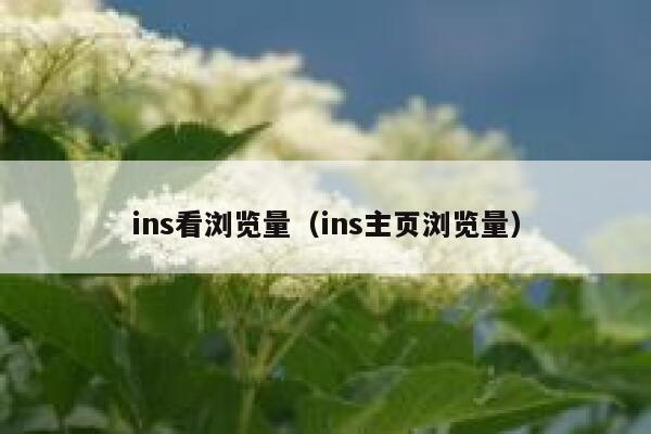 ins看浏览量（ins主页浏览量） 第1张