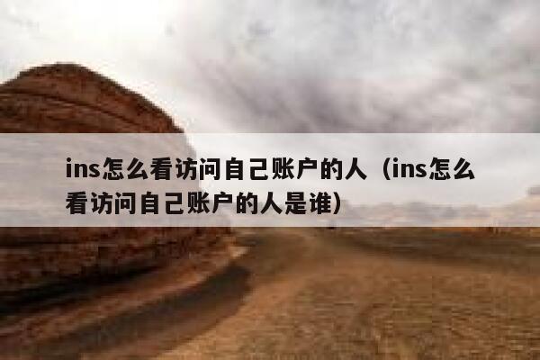 ins怎么看访问自己账户的人（ins怎么看访问自己账户的人是谁） 第1张