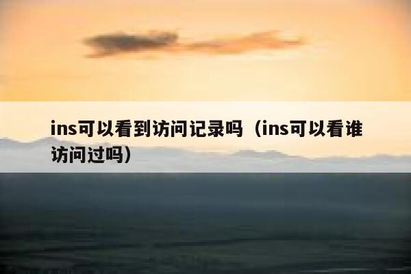 ins可以看到访问记录吗(ins可以看谁访问过吗) 第1张 ins可以看到访问记录吗(ins可以看谁访问过吗) 第1张