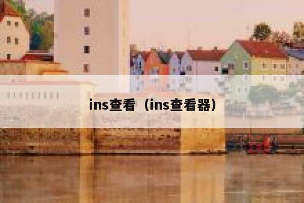 ins查看（ins查看器） 第1张