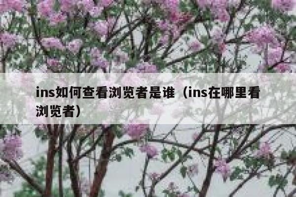 ins如何查看浏览者是谁（ins在哪里看浏览者） 第1张