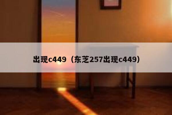出现c449（东芝257出现c449） 第1张