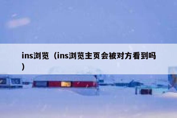 ins浏览（ins浏览主页会被对方看到吗） 第1张