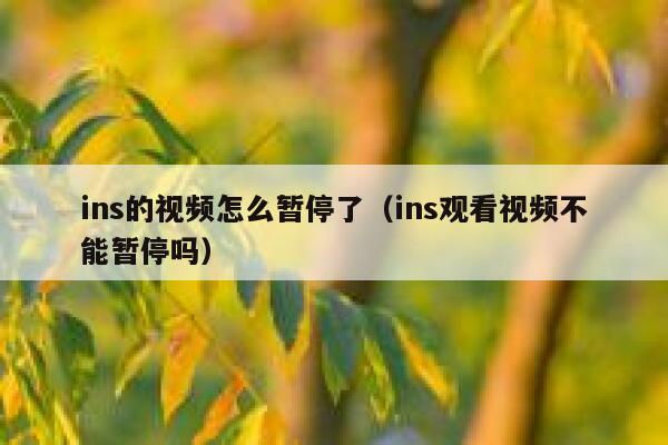 ins的视频怎么暂停了（ins观看视频不能暂停吗） 第1张