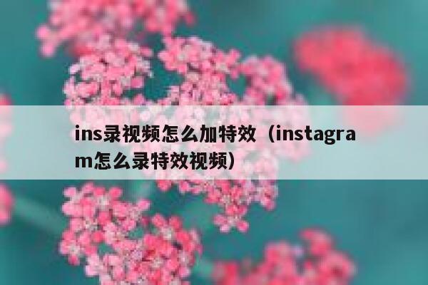 ins录视频怎么加特效（instagram怎么录特效视频） 第1张