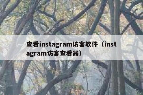 查看instagram访客软件（instagram访客查看器） 第1张