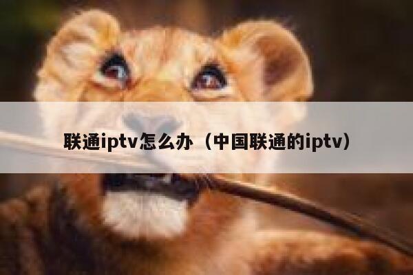 联通iptv怎么办（中国联通的iptv） 第1张
