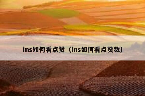 ins如何看点赞（ins如何看点赞数） 第1张