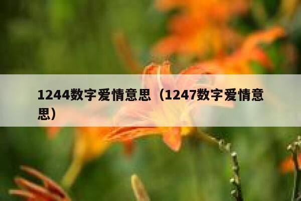 1244数字爱情意思（1247数字爱情意思） 第1张