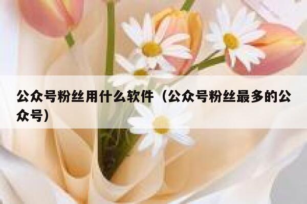 公众号粉丝用什么软件（公众号粉丝最多的公众号） 第1张