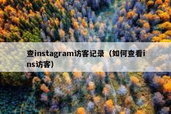 查instagram访客记录（如何查看ins访客） 第1张