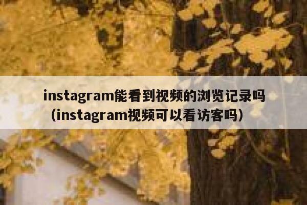 instagram能看到视频的浏览记录吗（instagram视频可以看访客吗） 第1张