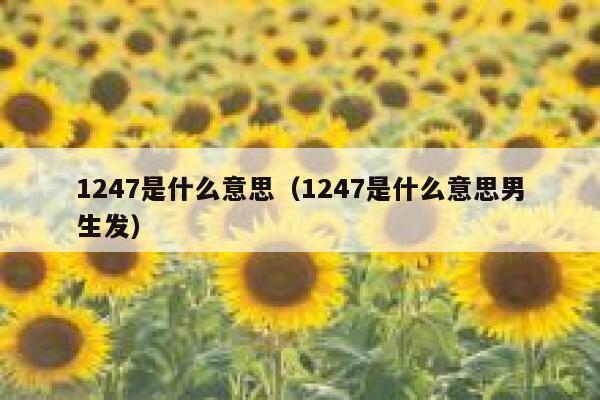 1247是什么意思（1247是什么意思男生发） 第1张
