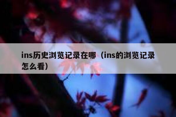 ins历史浏览记录在哪（ins的浏览记录怎么看） 第1张