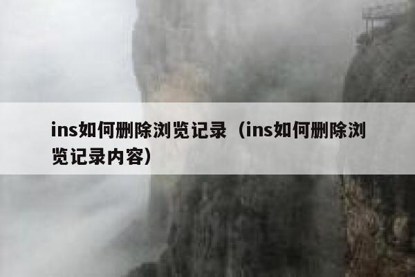 ins如何删除浏览记录（ins如何删除浏览记录内容） 第1张