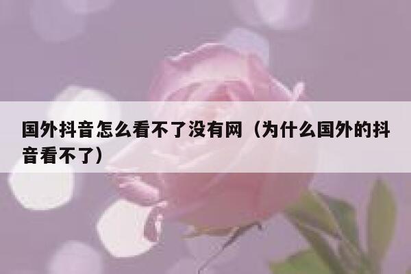 国外抖音怎么看不了没有网(为什么国外的抖音看不了) 第1张 国外抖音怎么看不了没有网(为什么国外的抖音看不了) 第1张