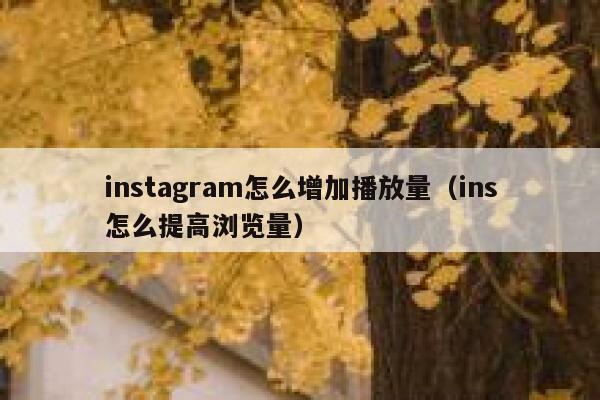 instagram怎么增加播放量(ins怎么提高浏览量) 第1张 instagram怎么增加播放量(ins怎么提高浏览量) 第1张