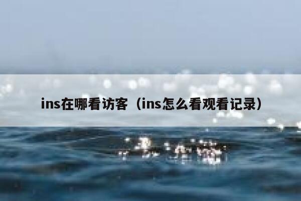 ins在哪看访客(ins怎么看观看记录) 第1张 ins在哪看访客(ins怎么看观看记录) 第1张