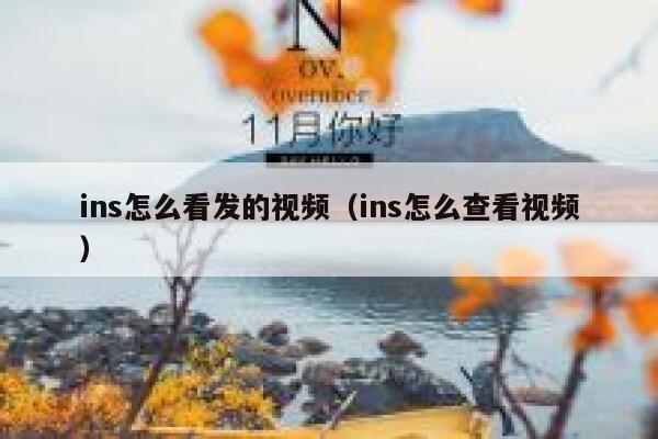 ins怎么看发的视频（ins怎么查看视频） 第1张