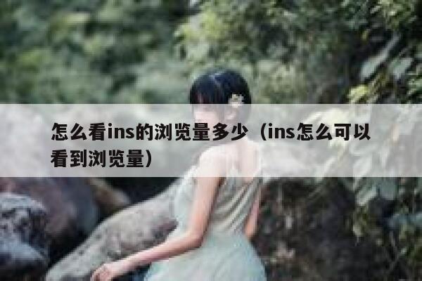怎么看ins的浏览量多少（ins怎么可以看到浏览量） 第1张