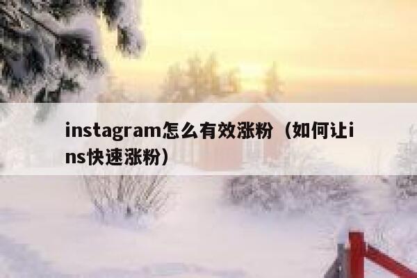 instagram怎么有效涨粉（如何让ins快速涨粉） 第1张