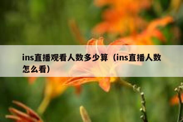 ins直播观看人数多少算（ins直播人数怎么看） 第1张