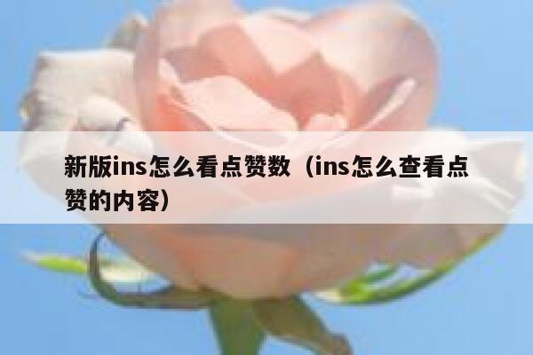 新版ins怎么看点赞数（ins怎么查看点赞的内容） 第1张