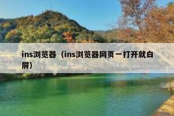 ins浏览器（ins浏览器网页一打开就白屏） 第1张