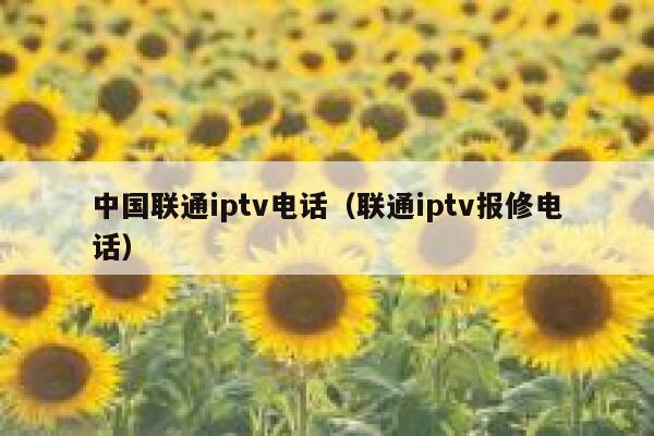 中国联通iptv电话（联通iptv报修电话） 第1张