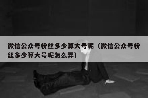 微信公众号粉丝多少算大号呢（微信公众号粉丝多少算大号呢怎么弄） 第1张