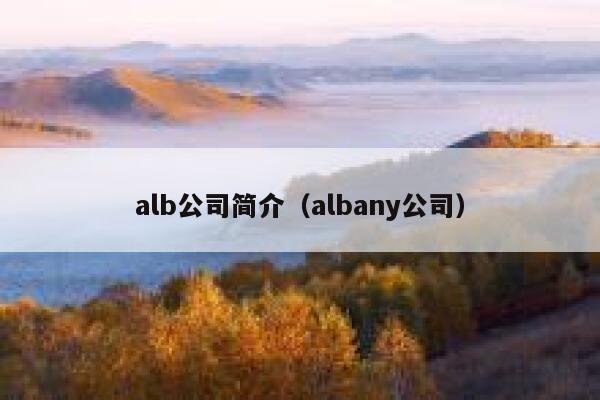 alb公司简介（albany公司） 第1张