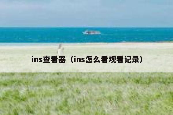 ins查看器（ins怎么看观看记录） 第1张