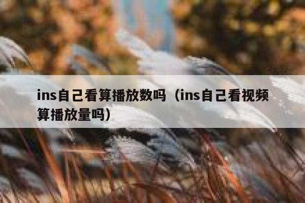 ins自己看算播放数吗（ins自己看视频算播放量吗） 第1张