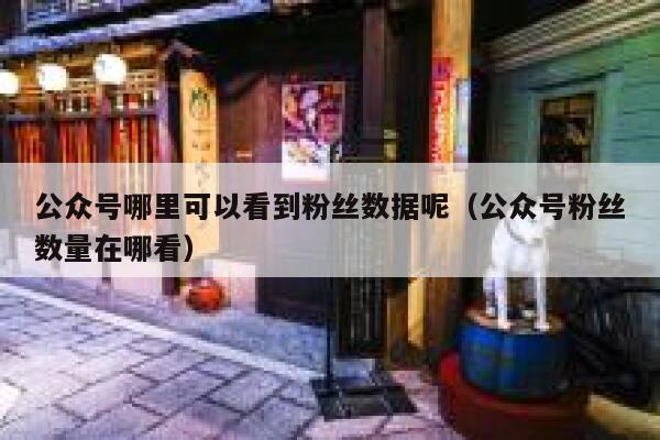 公众号哪里可以看到粉丝数据呢（公众号粉丝数量在哪看） 第1张