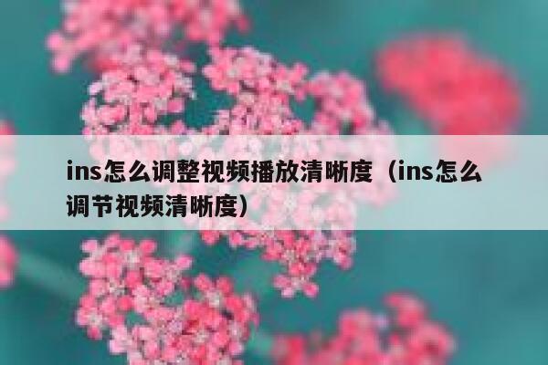 ins怎么调整视频播放清晰度（ins怎么调节视频清晰度） 第1张