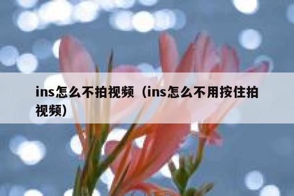 ins怎么不拍视频（ins怎么不用按住拍视频） 第1张
