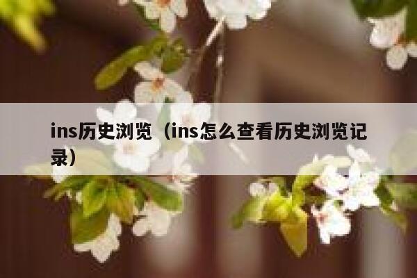 ins历史浏览（ins怎么查看历史浏览记录） 第1张