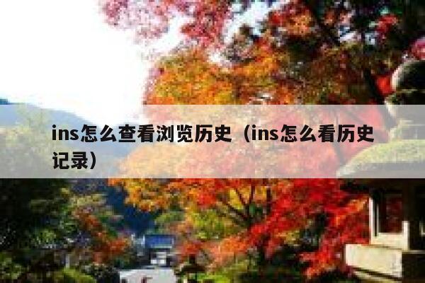 ins怎么查看浏览历史（ins怎么看历史记录） 第1张