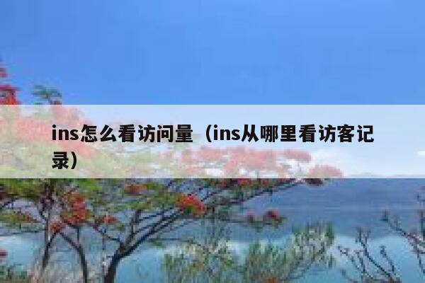 ins怎么看访问量（ins从哪里看访客记录） 第1张