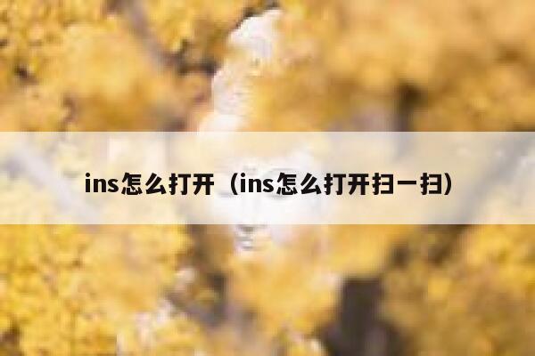 ins怎么打开（ins怎么打开扫一扫） 第1张