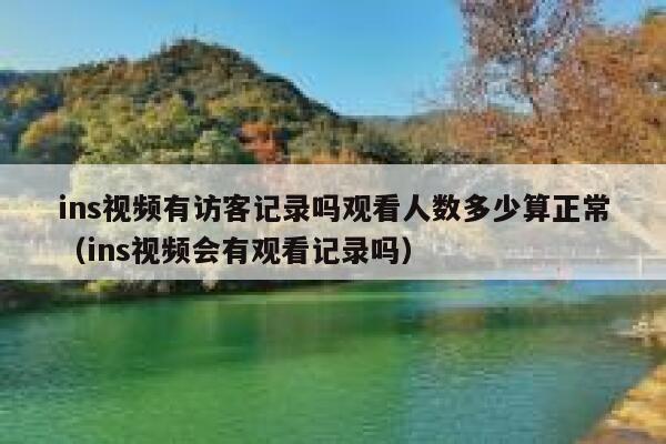 ins视频有访客记录吗观看人数多少算正常（ins视频会有观看记录吗） 第1张