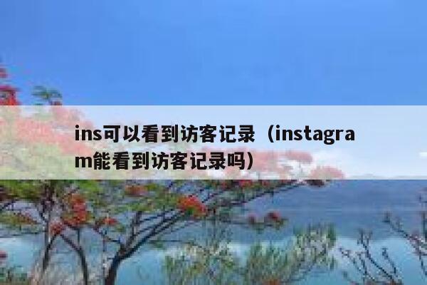 ins可以看到访客记录（instagram能看到访客记录吗） 第1张