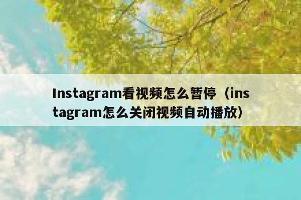 Instagram看视频怎么暂停（instagram怎么关闭视频自动播放） 第1张