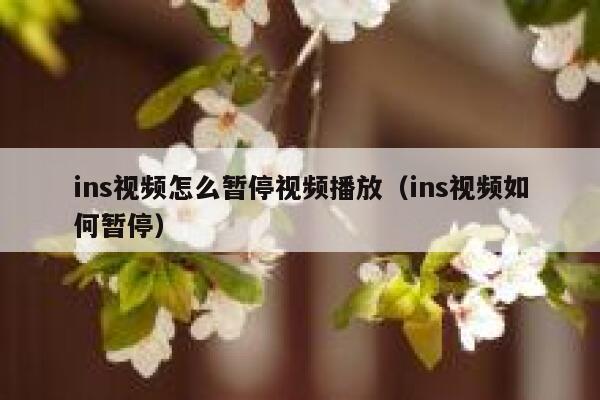 ins视频怎么暂停视频播放（ins视频如何暂停） 第1张